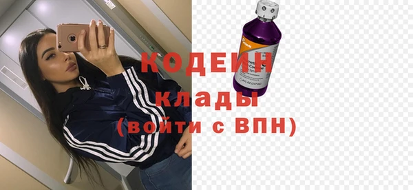 индика Абинск