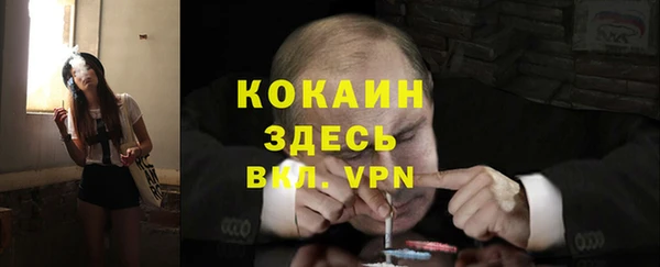 индика Алексеевка