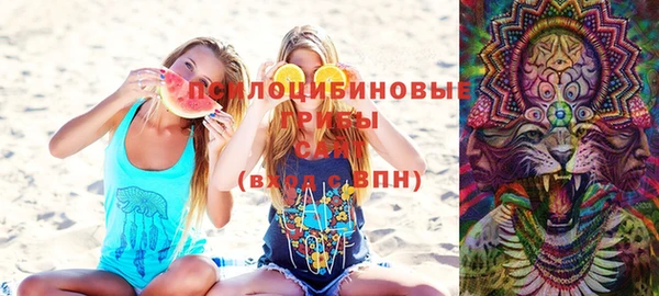 индика Алексеевка