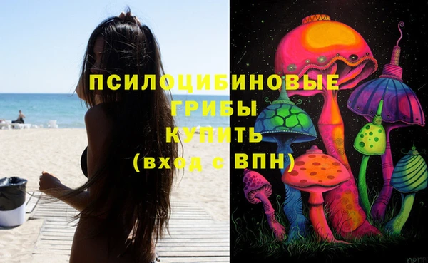 СК Алексин
