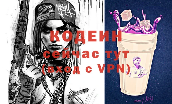 индика Абинск