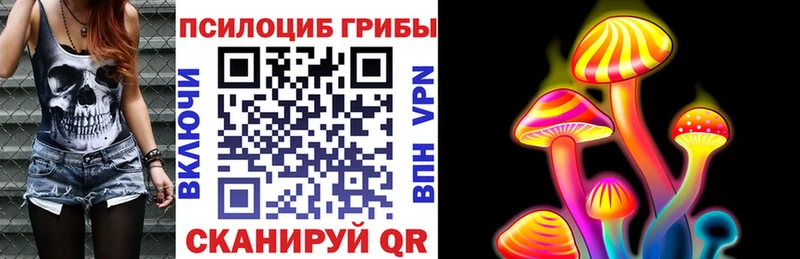 Галлюциногенные грибы Cubensis  Ермолино 